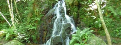 Día 2, Cascada Xoxorrin