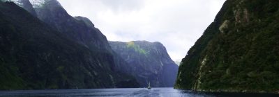 Día 8, Milford Sound